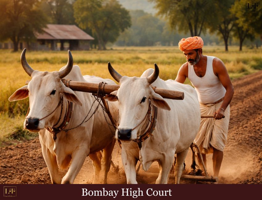 “1957 ‘Tiller’s Day’ Dream Collapses in Final Bombay High Court Verdict”