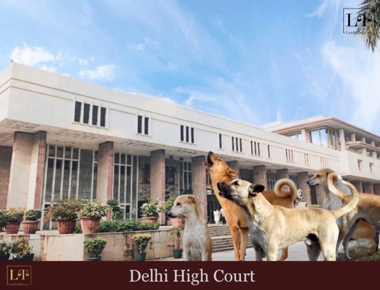 Are Supreme Court’s Stray Dog Directions Being Followed? Delhi HC Wants to Know