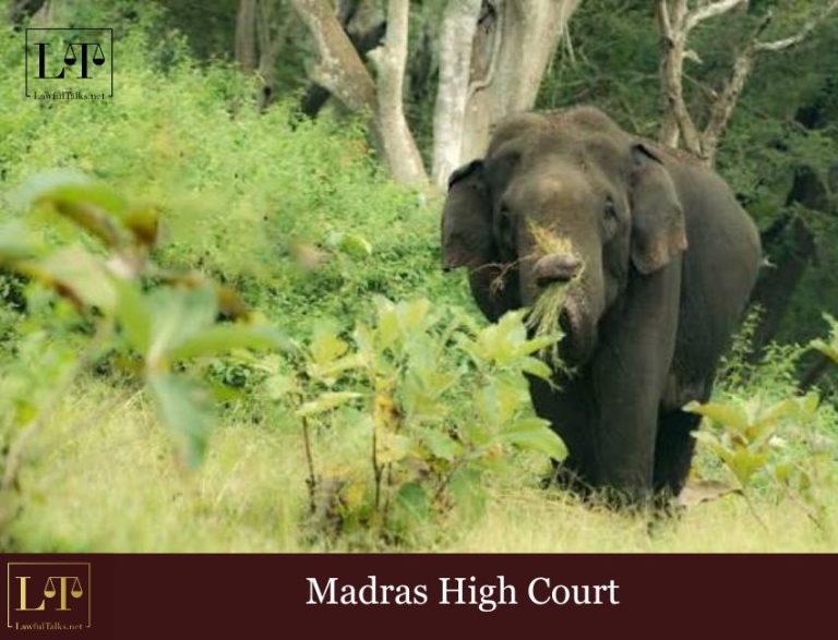 Nilgiris Elephant Corridor : HC Demands Government Acquisition, Bars Commercial Resorts